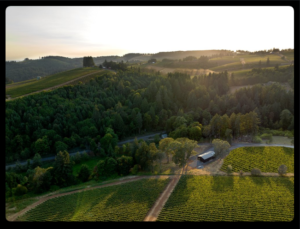 Artist Block Winery