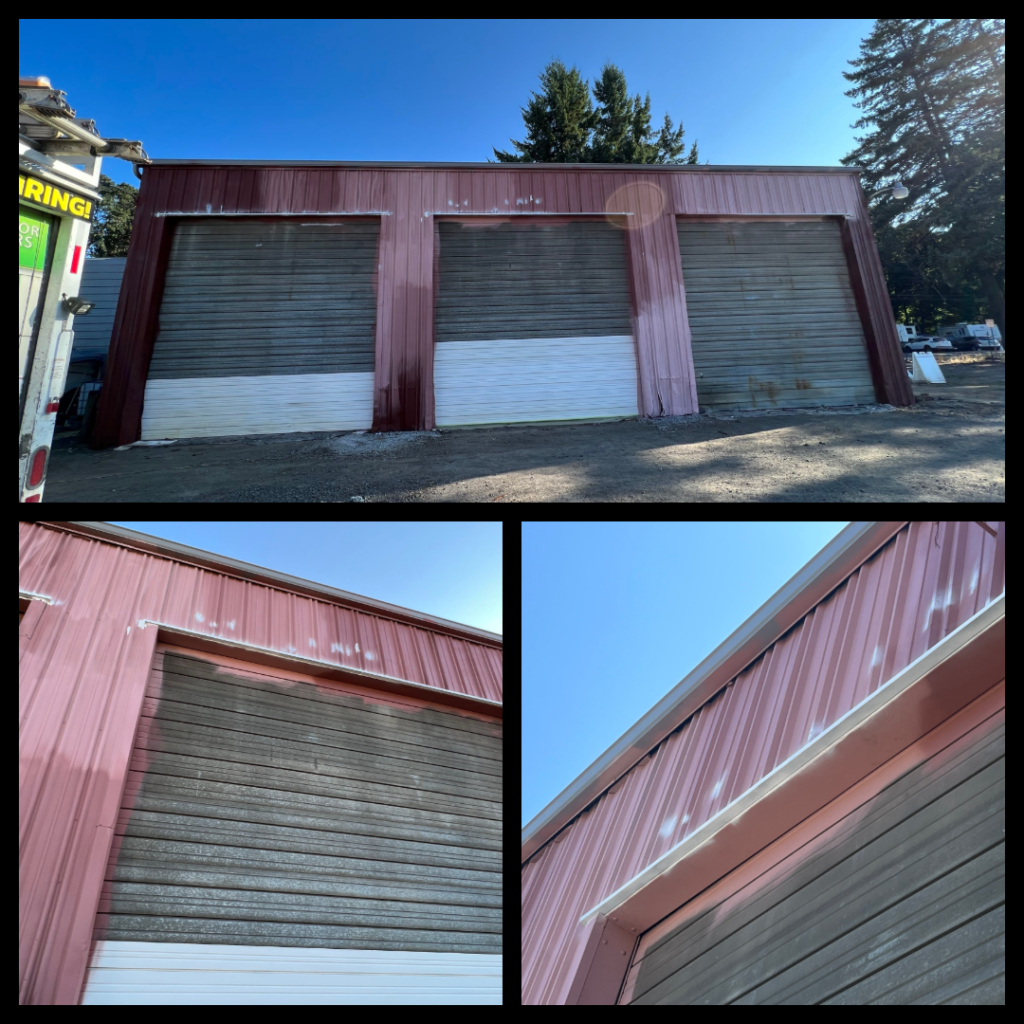 Before Restoration & Painting